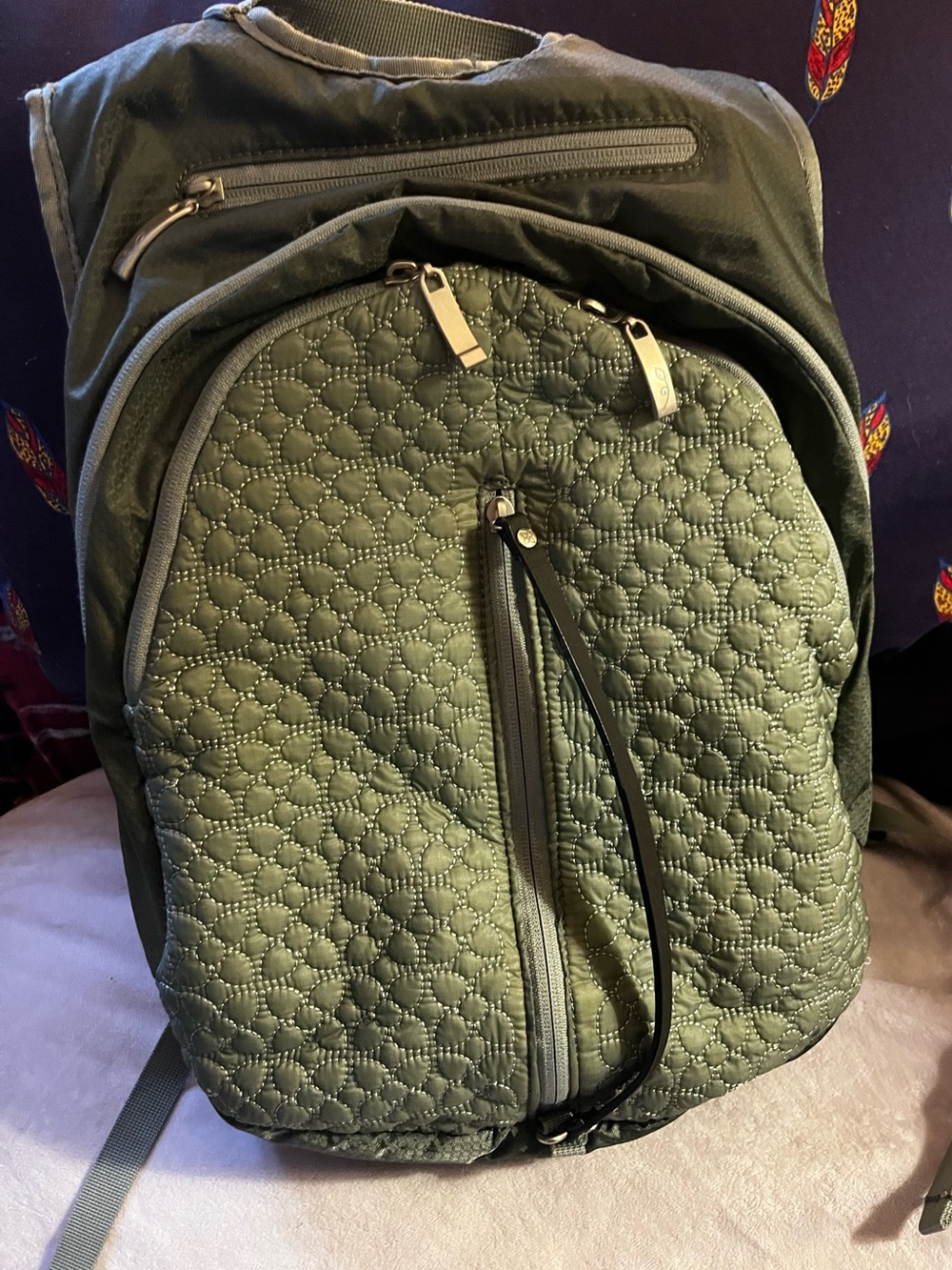 Sherpani Pack